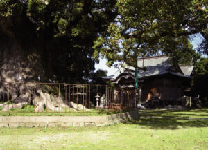 ④青幡神社